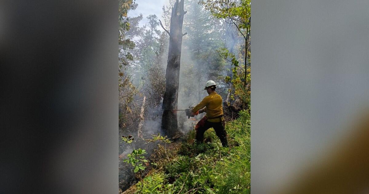 Most Superior National Forest fires stayed same size going into Thursday | Local & State News Most Superior National Forest fires stayed same size going into Thursday | Local & State News