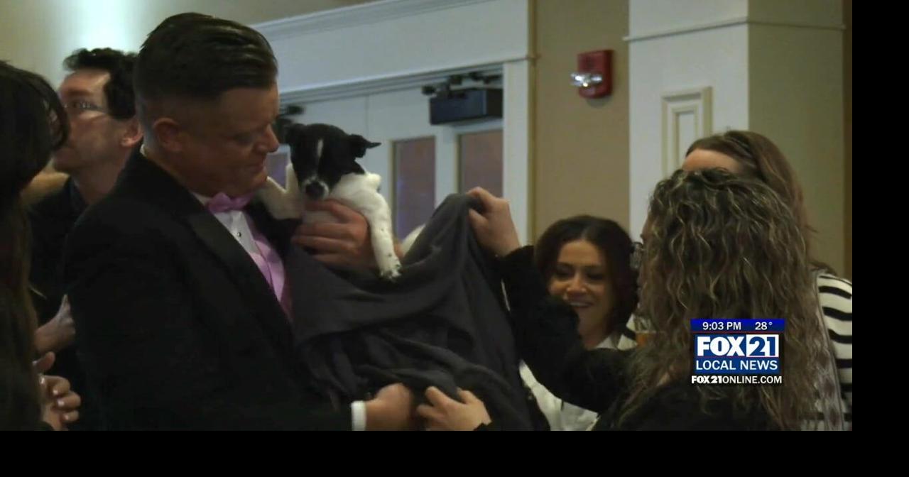 Animal Allies hosts Annual ‘Fur Ball Gala’ at Northland Country Club ...