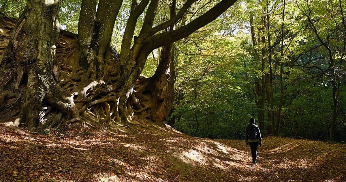 Mental health treatment expands beyond clinical settings as needs grow | Health Mental health treatment expands beyond clinical settings as needs grow | Health