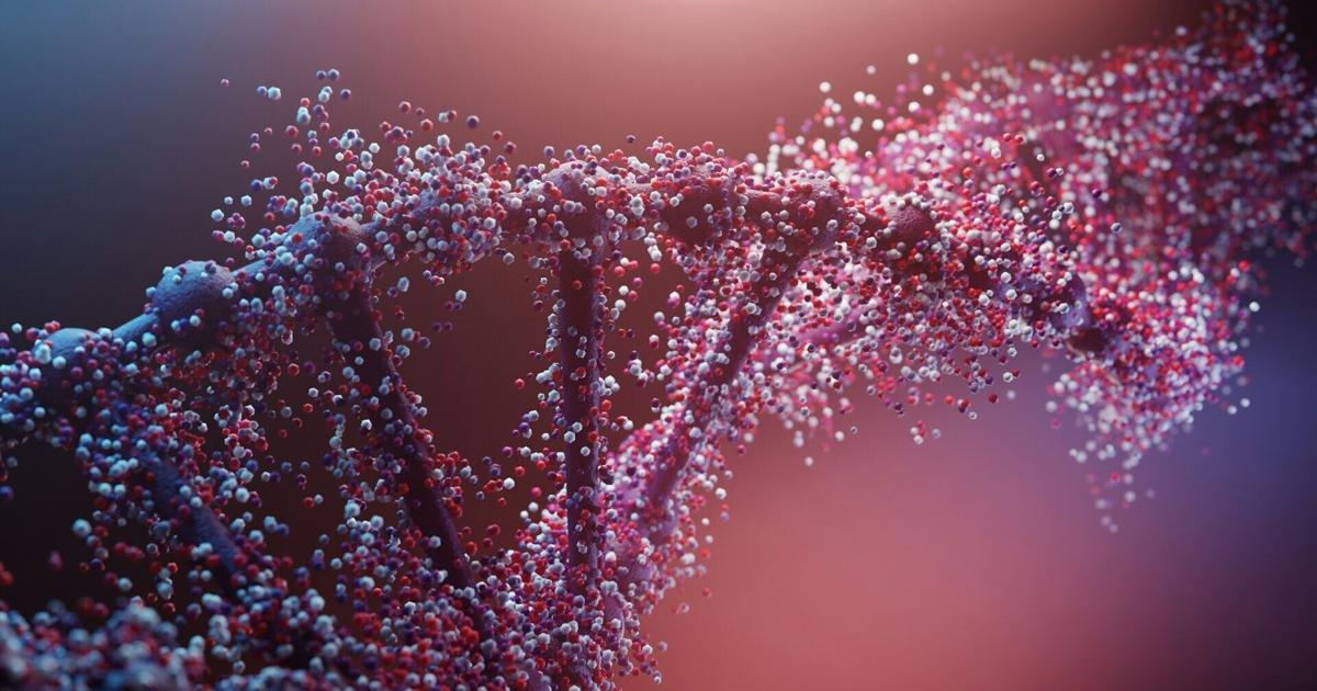 New catalog maps all 239 RNA viruses known to infect humans | Health New catalog maps all 239 RNA viruses known to infect humans | Health