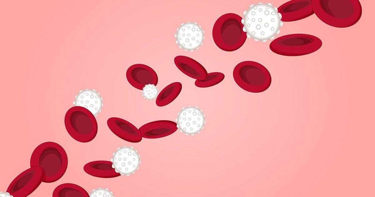 Scientists engineer stem cells to fight aggressive blood cancers | Health