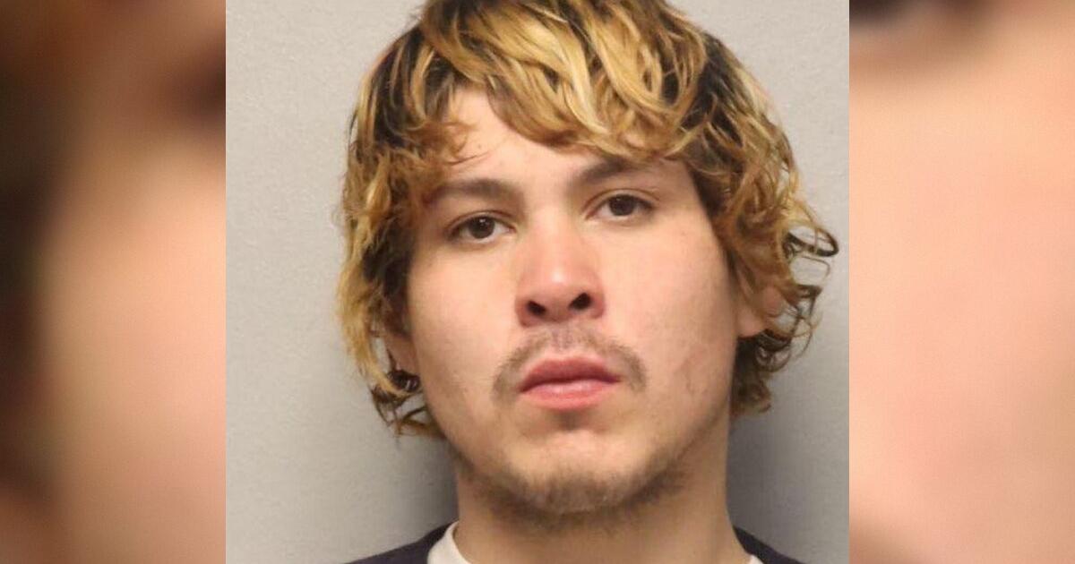 Man allegedly caught on camera stealing Amazon package full of pet ...