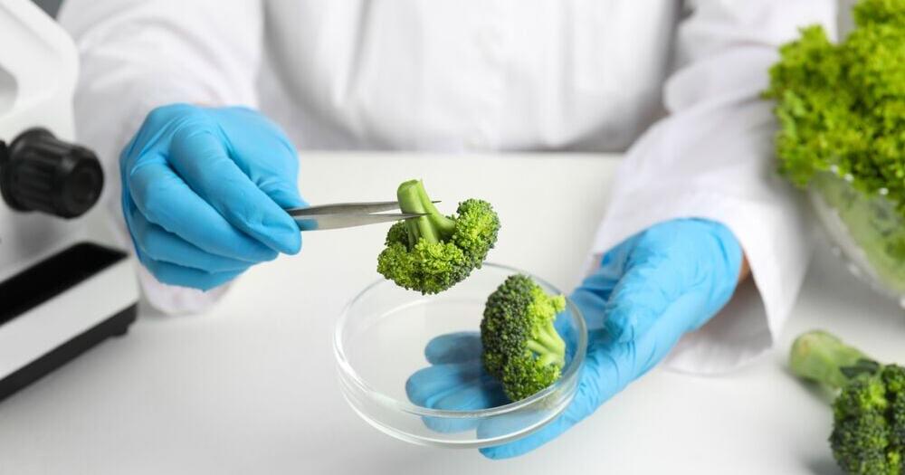 Minnesota Residents Have Been Impacted by 649 Food Recalls Since 2021