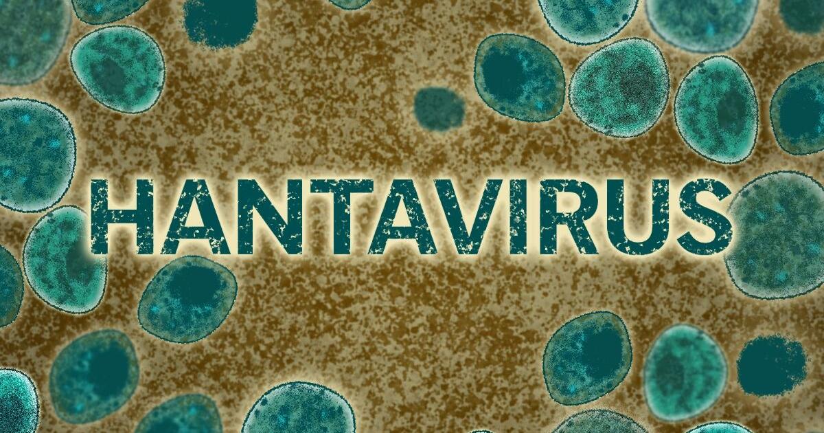 Minnesotan may have briefly been exposed to person with hantavirus | Health