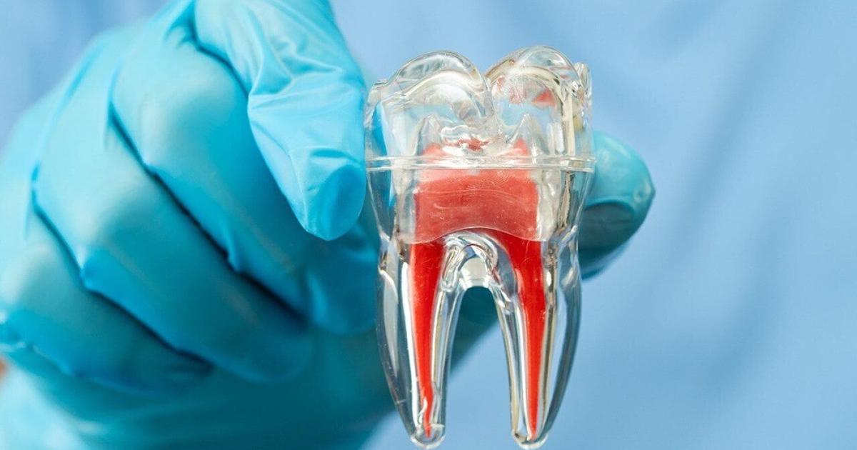 You have 30 minutes to save a knocked-out tooth. Only 27% of US adults know that. | Health You have 30 minutes to save a knocked-out tooth. Only 27% of US adults know that. | Health