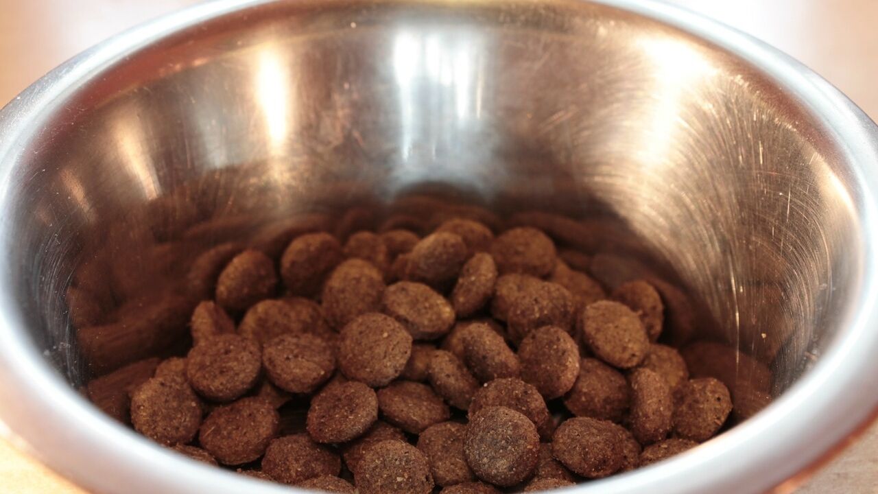 FDA expands pet food recall after 70 dogs die from eating it