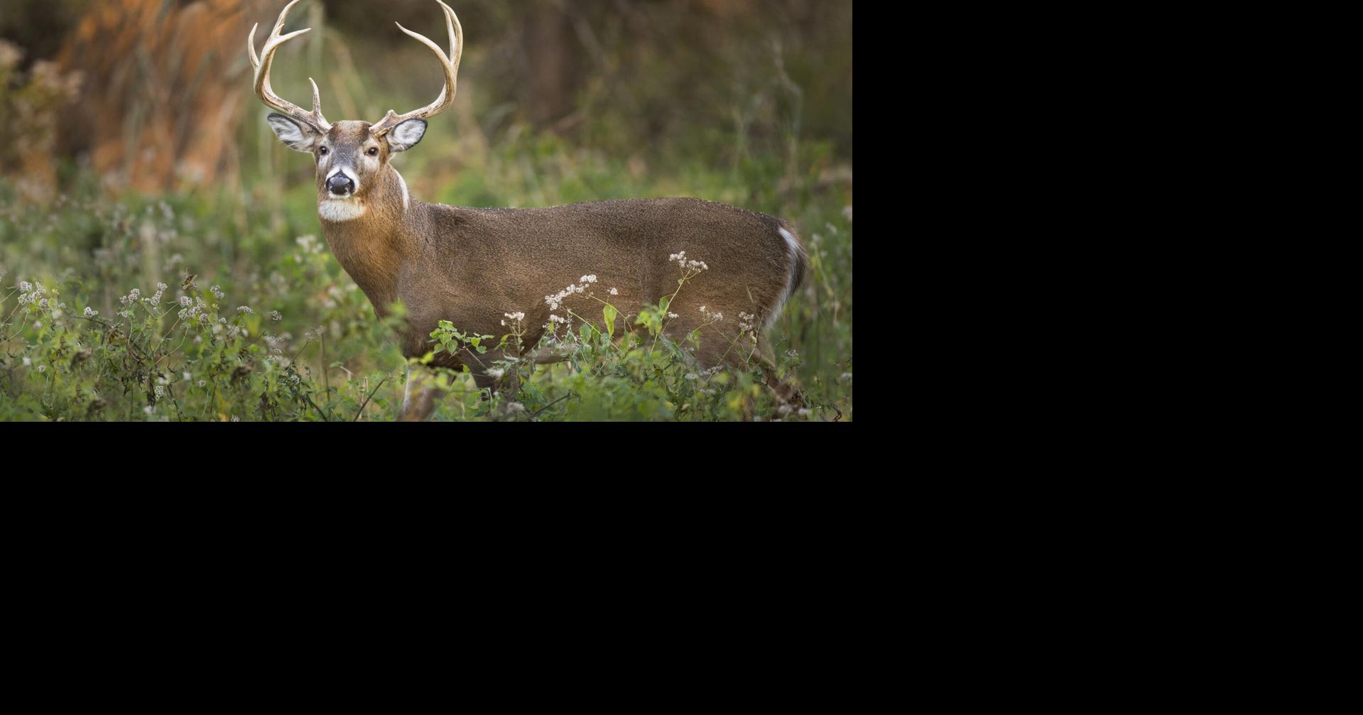 Muscogee Creek Nation sues ODWC director over hunting and fishing jurisdiction