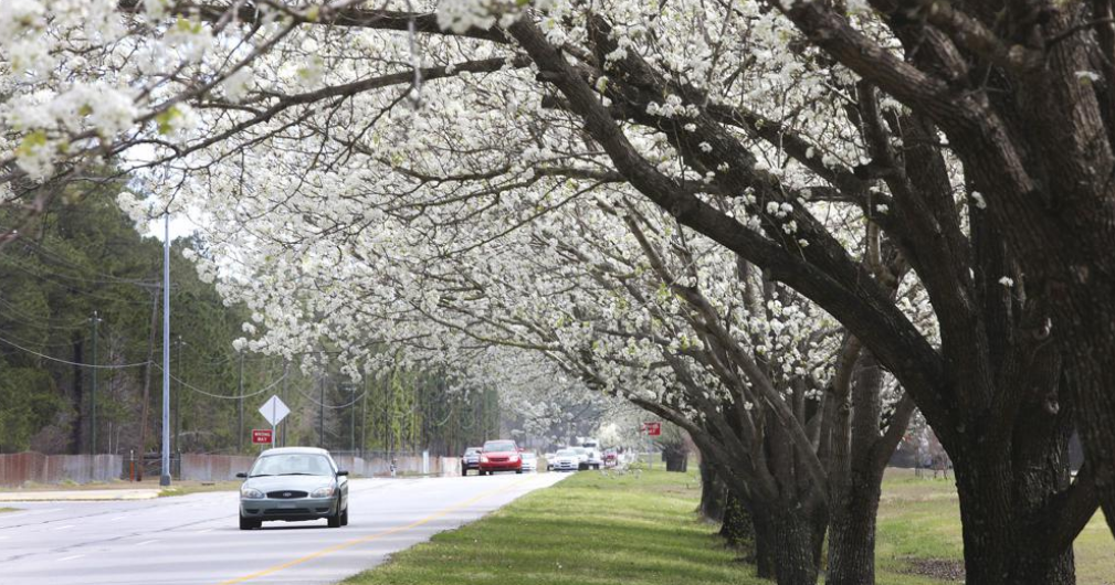 Oklahoma agencies spotlight invasive species during awareness week