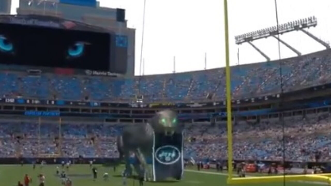 Mixed reality puts the purrr-fect twist on Carolina Panthers games - Unreal  Engine