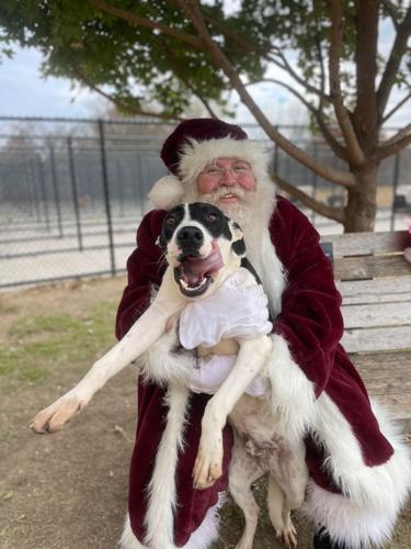 Photos: Santa sightings in Tulsa 2022 | | fox23.com