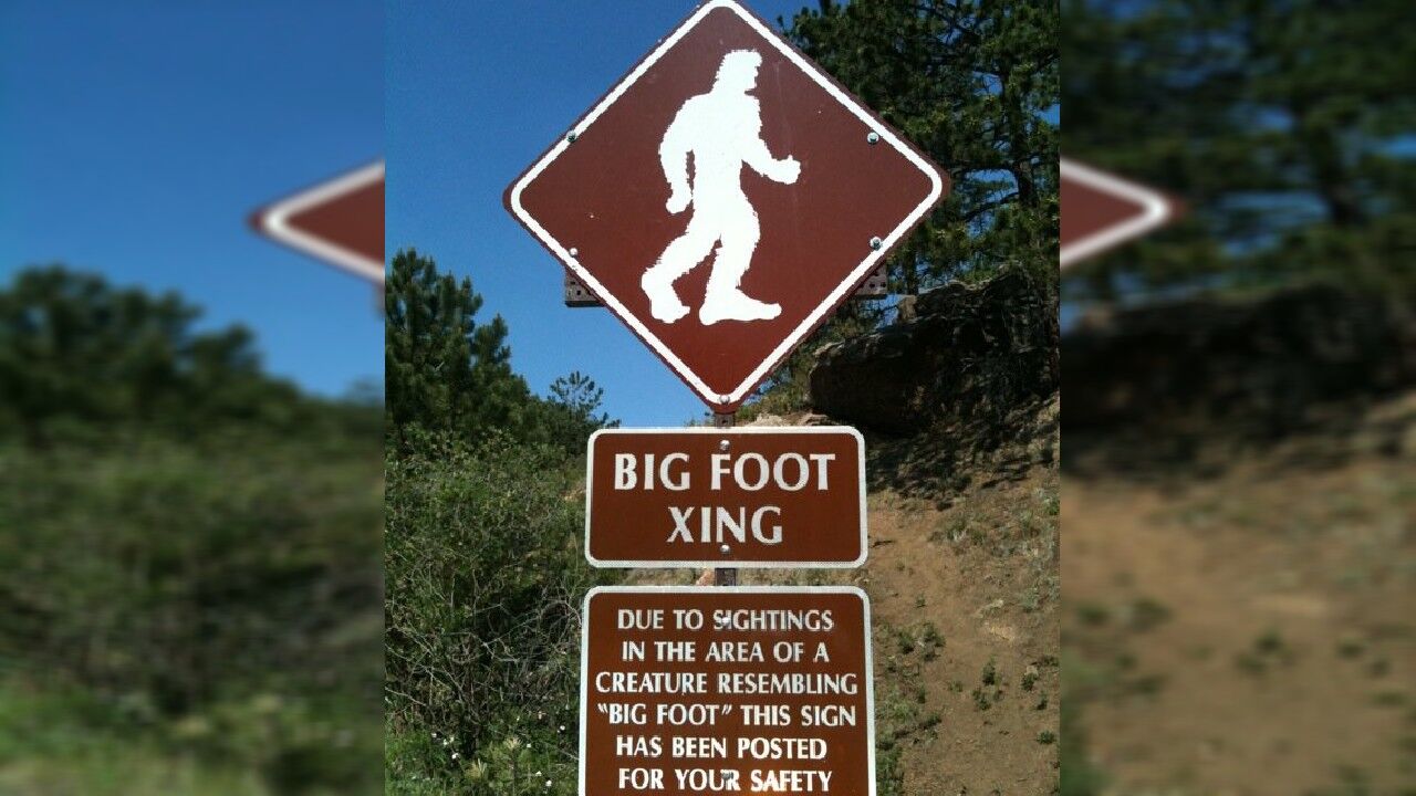 Carolina Bigfoot hunters claim sighting