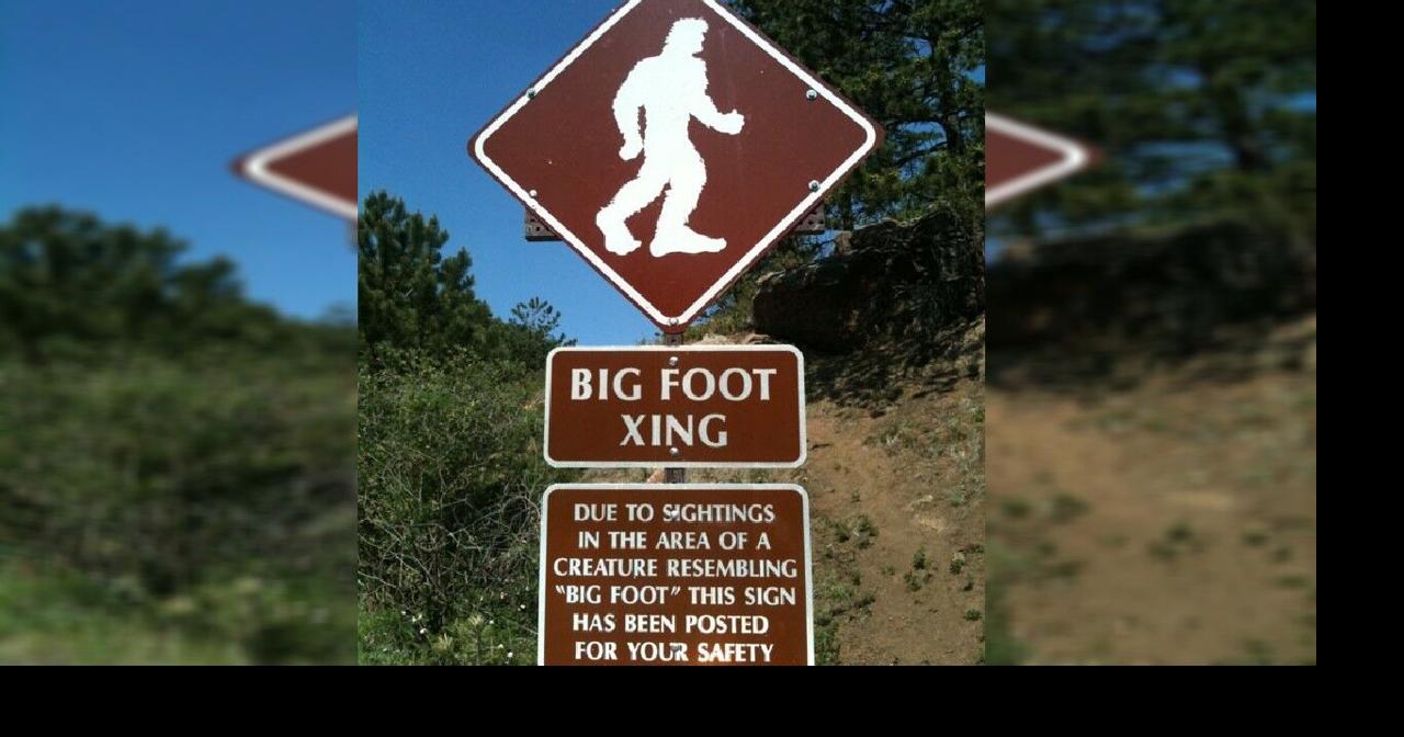 Bigfoot Hunting - Apps on Google Play