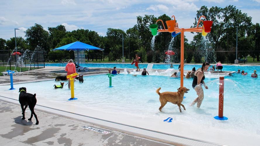 Photos K9 Splash Party at Tulsa's McClure Park Pool