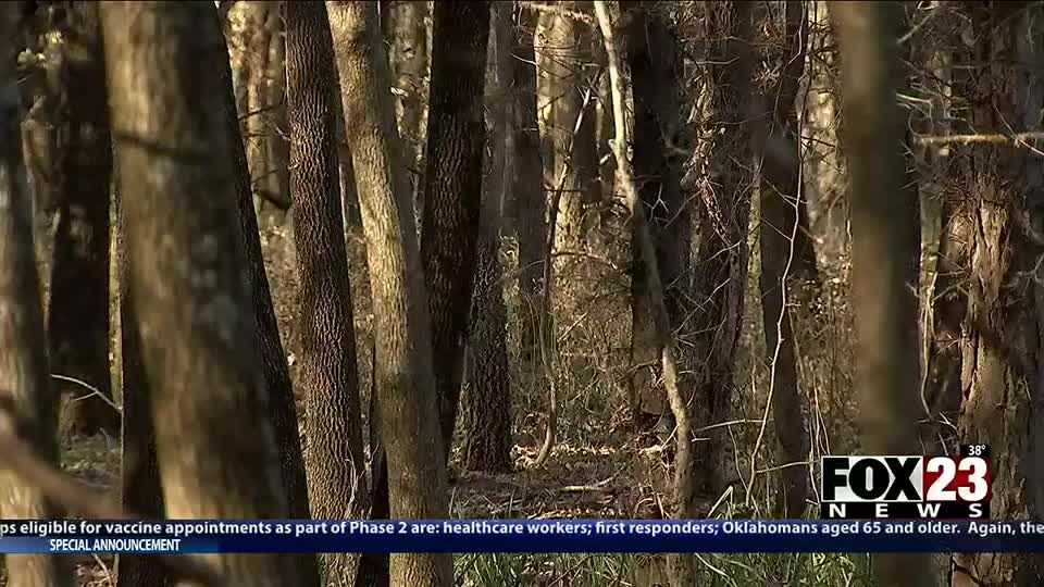 A Bigfoot hunting season in Oklahoma? Here's why a lawmaker filed