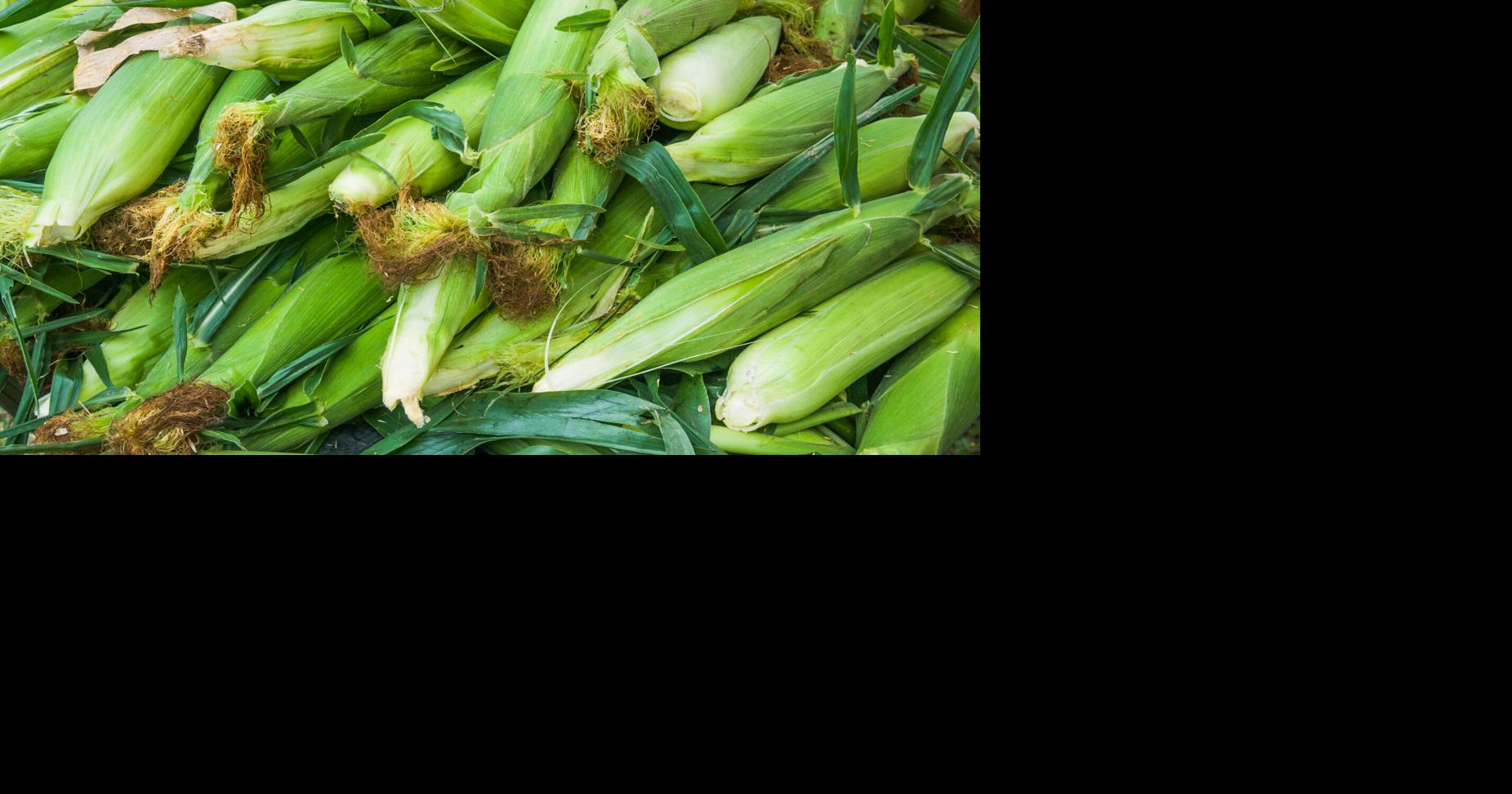 Bixby Green Corn Festival kick’s off Thursday Local & State
