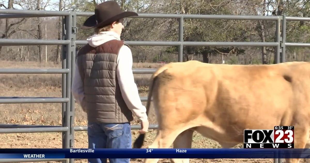 Rising bull-riding star in recovery following life-threatening bull ...