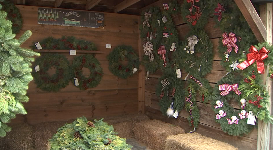 Photos Owasso Tree and Berry Farm opens 2022 Christmas season