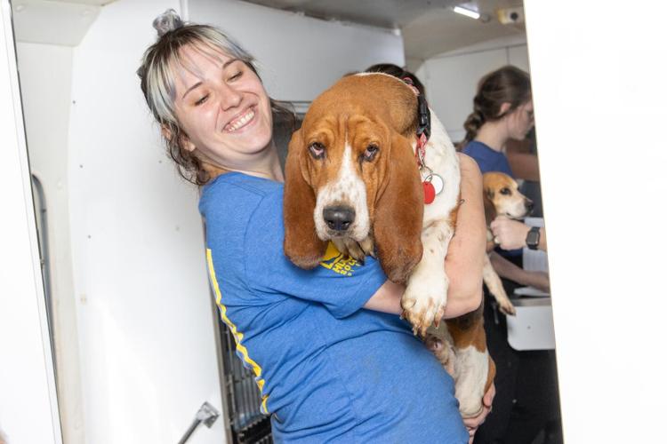 Photos Dozens of animals pulled from Oklahoma testing facility, Humane