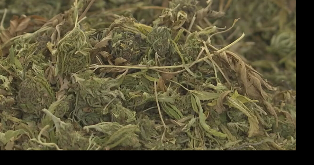 In Depth: Legislation to reopen federal government comes with new heavy restrictions for hemp