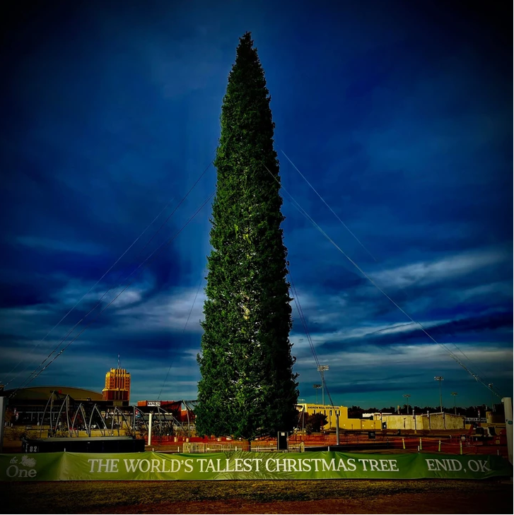 Enid, Oklahoma Is Home To The Tallest 2021 Christmas Tree In The World ...