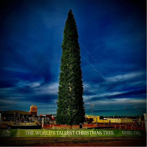 the tallest christmas tree in the world