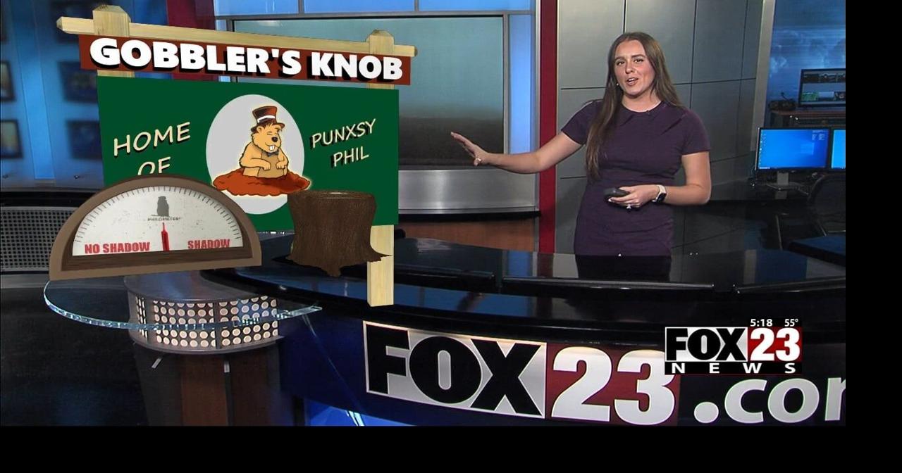 Groundhog Day Myths Vs Facts: How Accurate Is A Groundhog At Predicting The Weather?