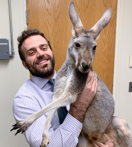 Meet the  Italian Dr. Doolittle exotic animal vet | News 