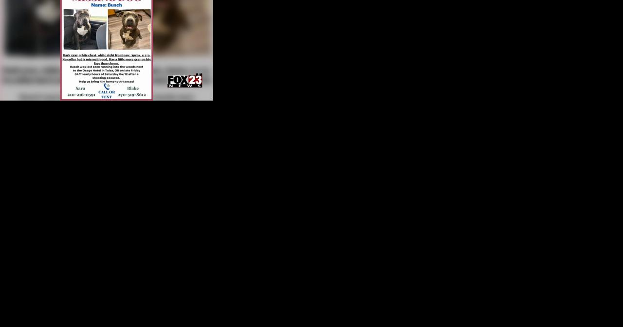 Arkansas family loses service dog and retired therapy dog in Osage Casino Hotel shooting