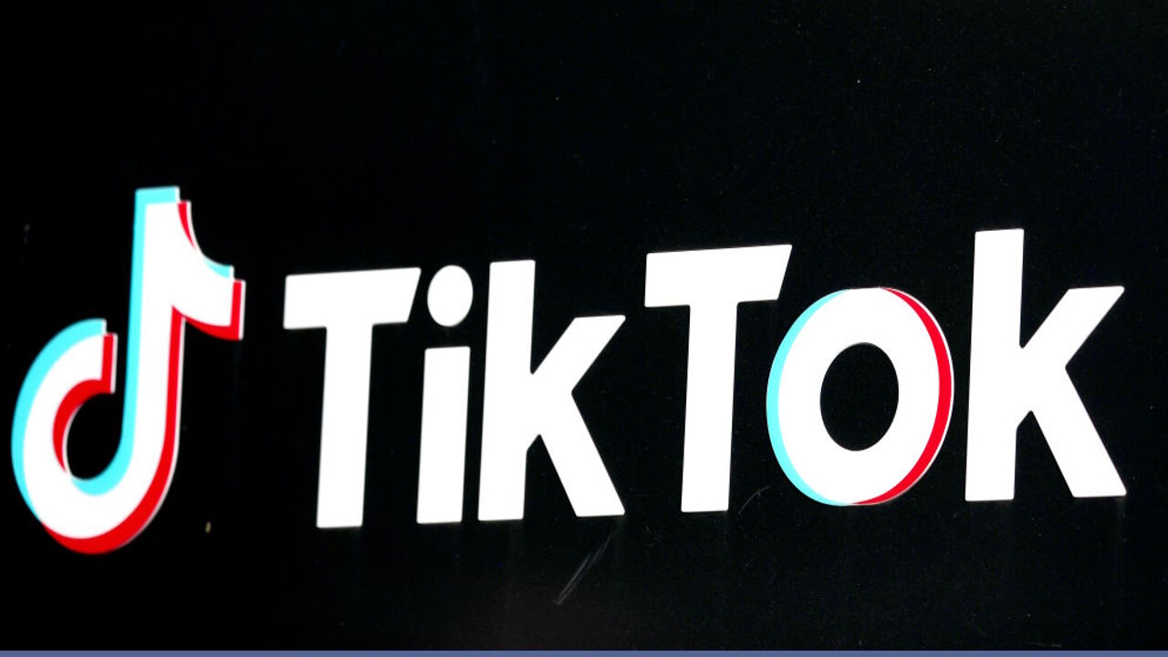 logo links in blox fruit｜Pesquisa do TikTok