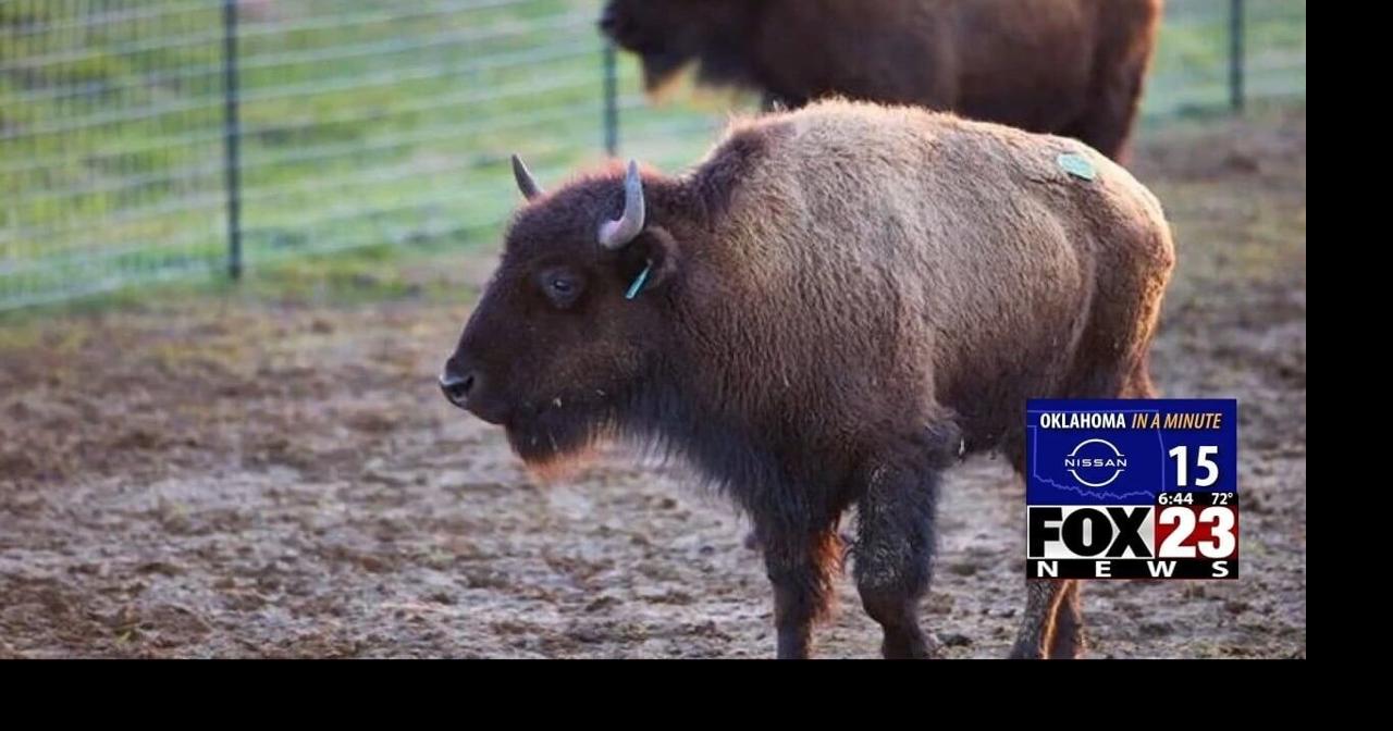 Oklahoma in a Minute: April 7, 2026