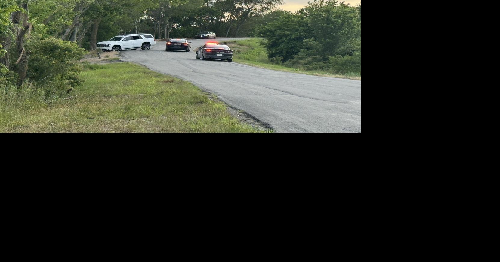 Man who led multiple agencies on a chase in stolen vehicle arrested