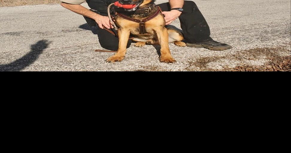 Wagoner County Sheriff credits K9 Deputy and his partner with