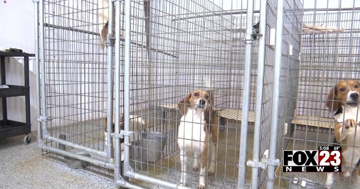 Local animal testing lab being turned into an animal rehabilitation ...