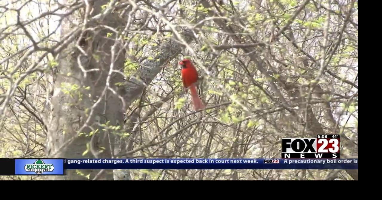 Inola woman speaks out against proposed aluminum smelter, citing wildlife concerns