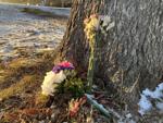 Flowers set up for Shelby Binney after deadly crash