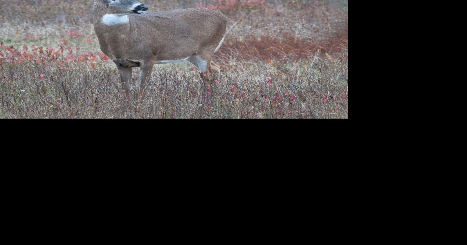 OK Supreme Court backs Drummond in tribal hunting, fishing rights dispute