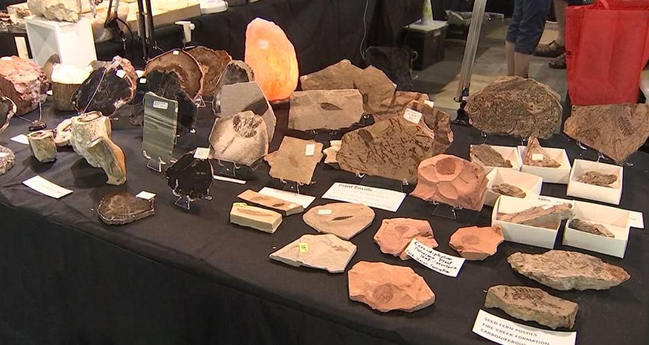 Photos Tulsa Rock and Mineral Society holds annual show at Expo Square