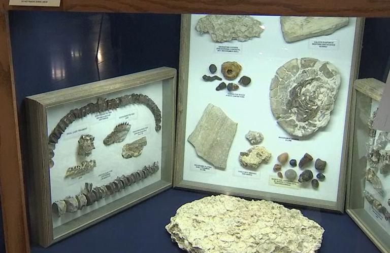 Photos Tulsa Rock and Mineral Society holds annual show at Expo Square