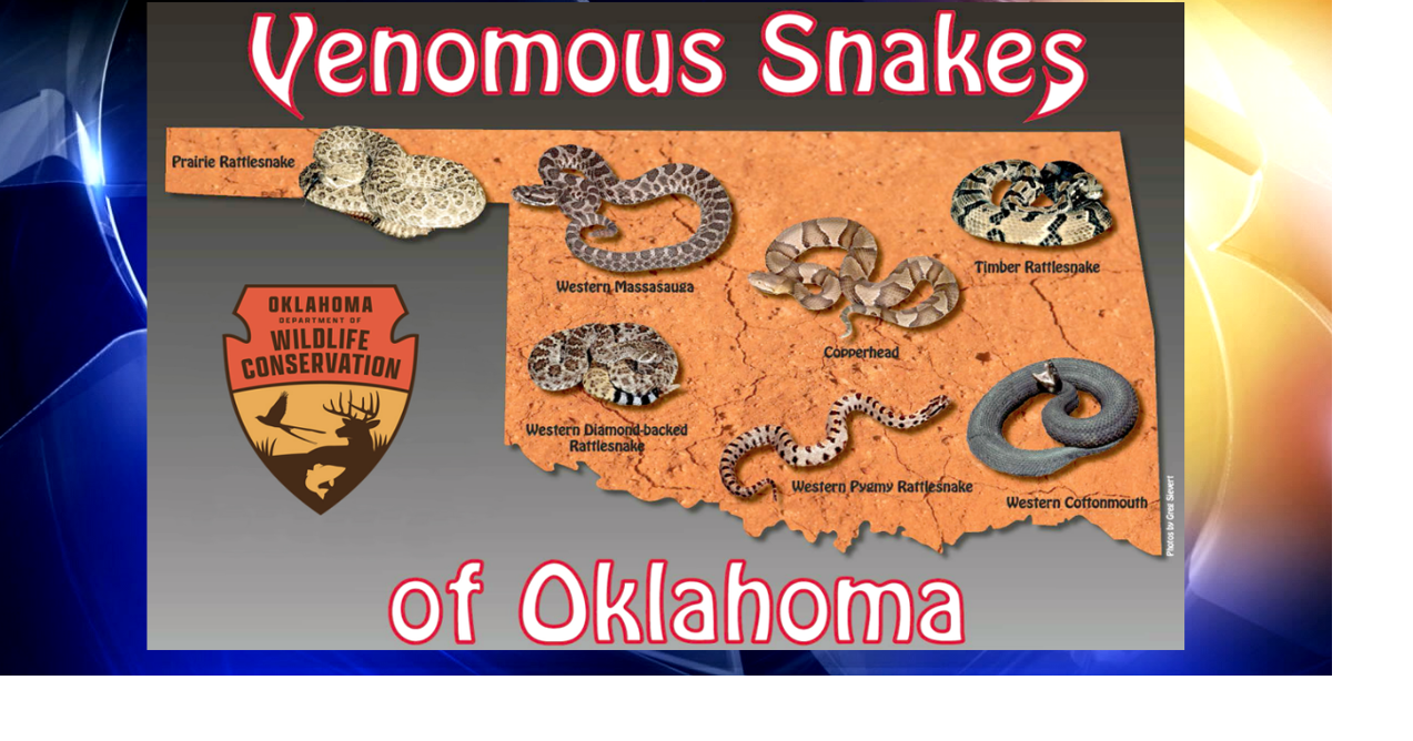 Doctors warn people to be mindful of snakes and their bites this time of year
