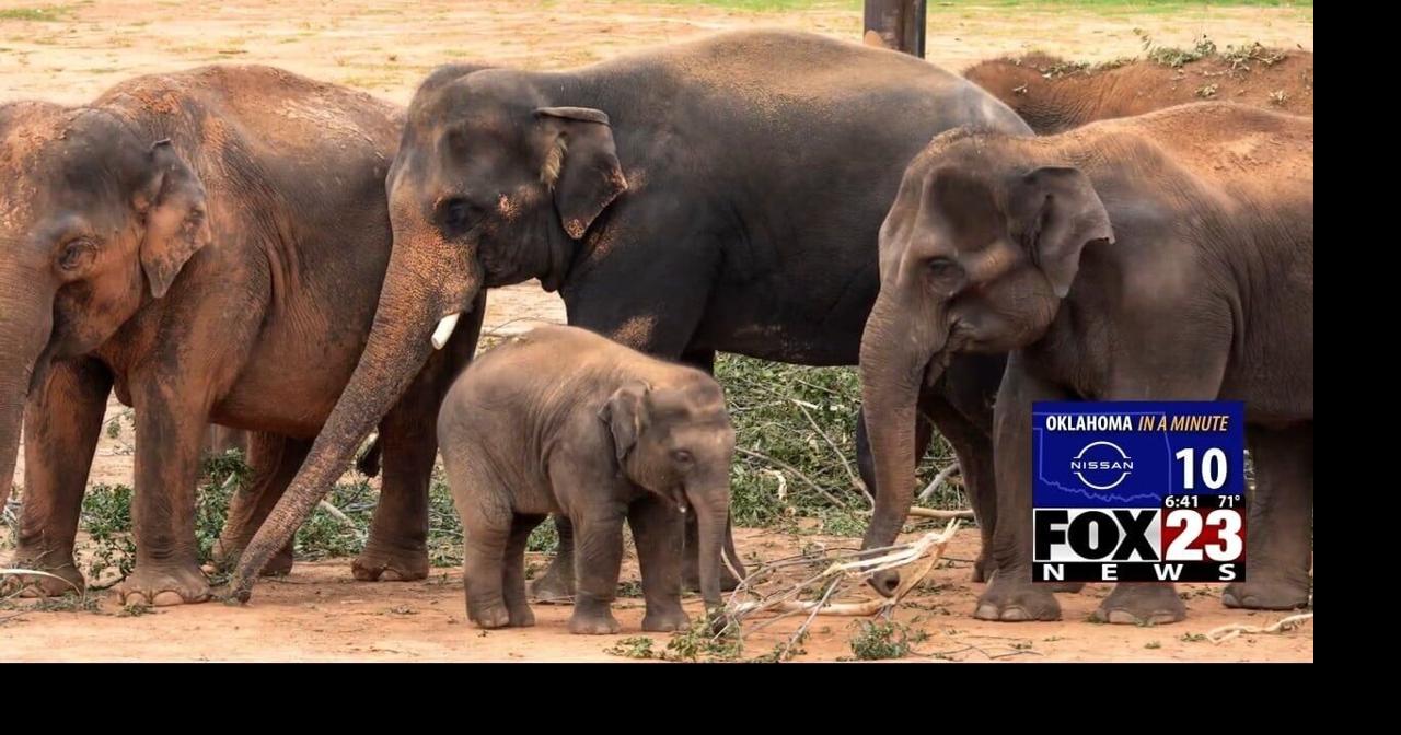 Oklahoma in a Minute: June 18, 2026