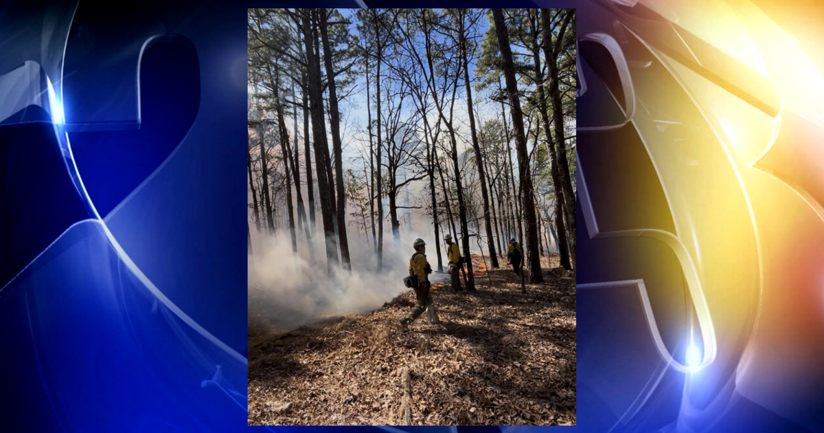 Oklahoma Forestry Services seeking help to track prescribed fires across state