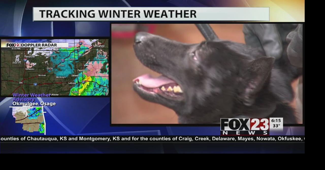 Kellyville police new K9 officer after minor setback News