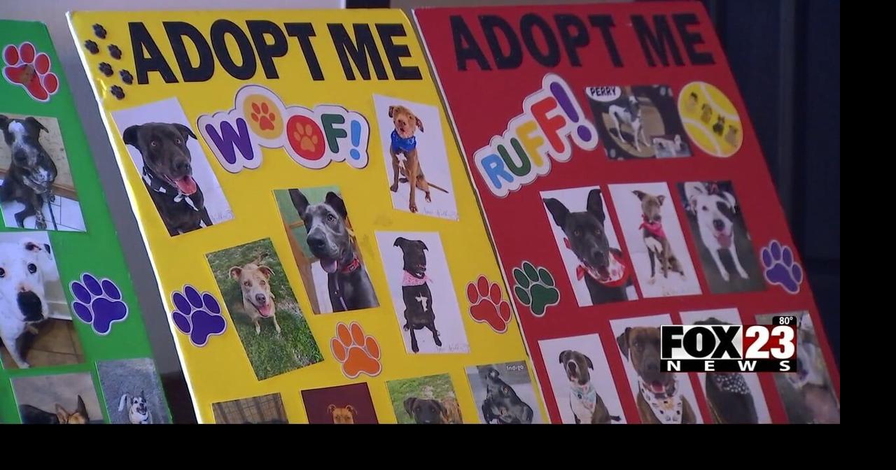 Oklahoma Pet Collective Society hosts largest fundraiser of the year