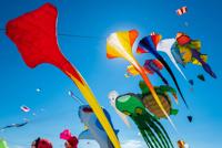 Three children have necks slit by sharpened kite strings at Indian festival, Trending