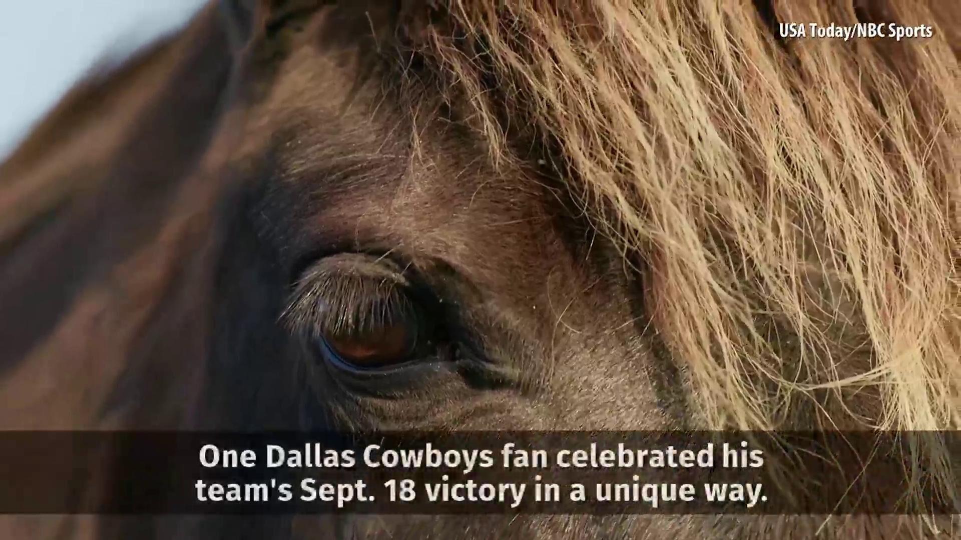 Dallas Cowboys fan rides horse into Walmart after team's win, Trending