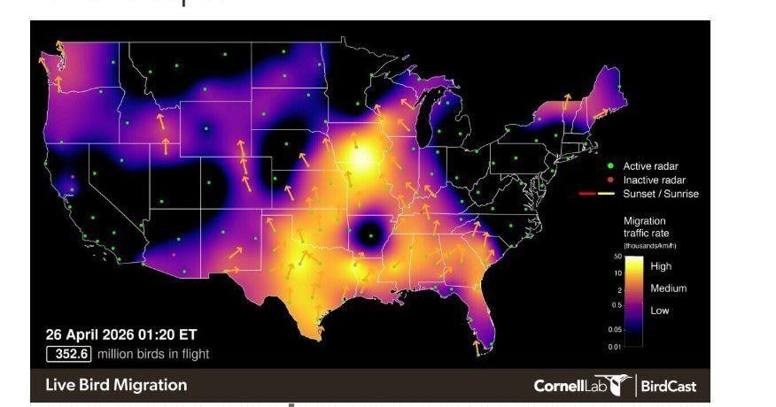 More than 27 million birds fly over Oklahoma during peak migration weekend