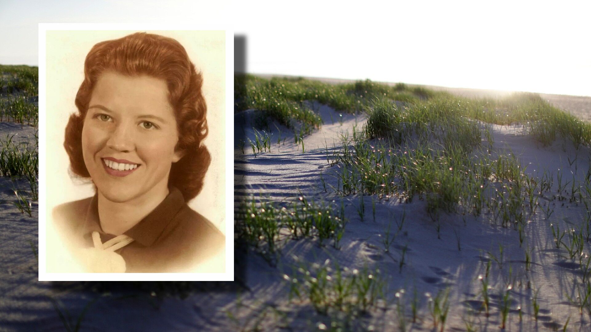 Lady of the Dunes Mutilated woman found on beach in 1974 IDd through genetic genealogy Trending fox23 photo