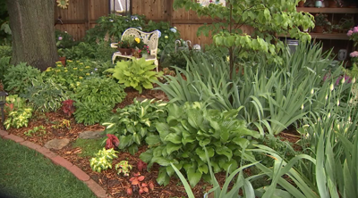 Tulsa Master Gardeners Hosts Showcase