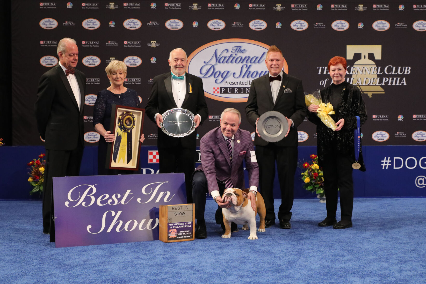 Purina farms dog show 2019 best sale