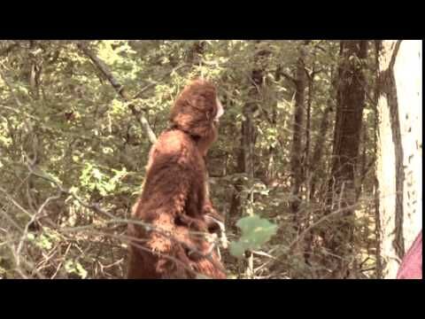 Oklahoma's bigfoot organization delves into mysterious sightings